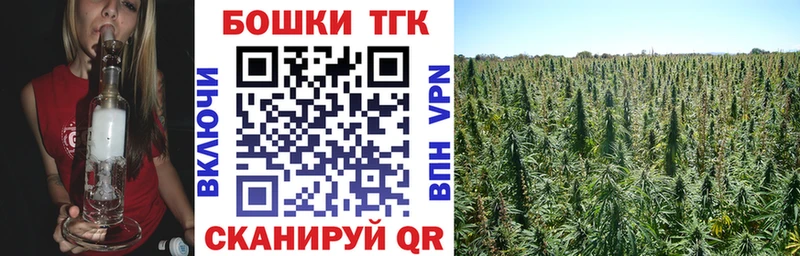 Каннабис планчик  магазин    darknet какой сайт  Звенигово 